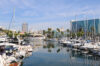 Long Beach Marina and city skyline