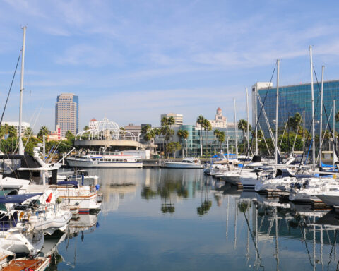 Long Beach Marina and city skyline