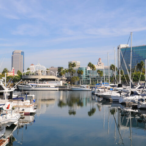 Long beach marina and city skyline