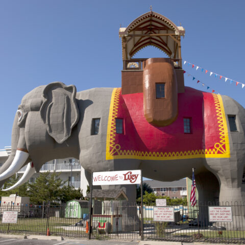 Lucy, the elephant. Lucy the elephant is a six-story elephant-shaped example of novelty architecture, constructed of wood and tin sheeting in 1881 by james v. Lafferty in margate city, new jersey.