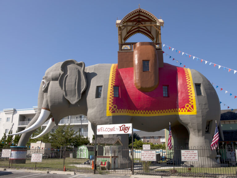 Lucy, the elephant. Lucy the elephant is a six-story elephant-shaped example of novelty architecture, constructed of wood and tin sheeting in 1881 by james v. Lafferty in margate city, new jersey.