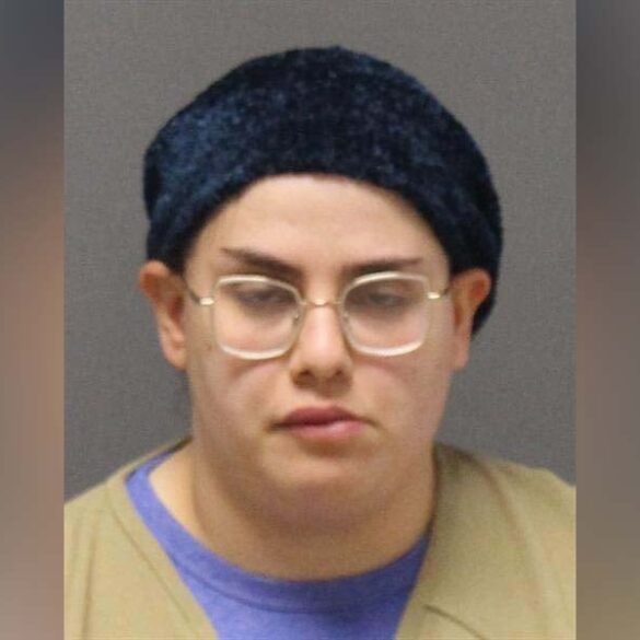 Lakewood mother who stabbed and drowned her two babies found not guilty in court - photo licensed by shore news network.