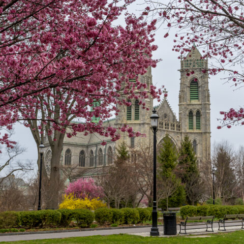 Newark s cathedral basilica of the sacred heart, framed by vibrant cherry blossoms, blends stunning french gothic architecture with the beauty of spring in full bloom
