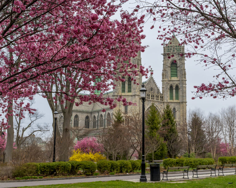 Newark s cathedral basilica of the sacred heart, framed by vibrant cherry blossoms, blends stunning french gothic architecture with the beauty of spring in full bloom