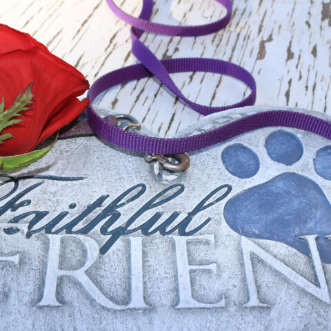 Funeral home owner charged after scamming 6,500+ pet owners with fake cremations - photo licensed by shore news network.