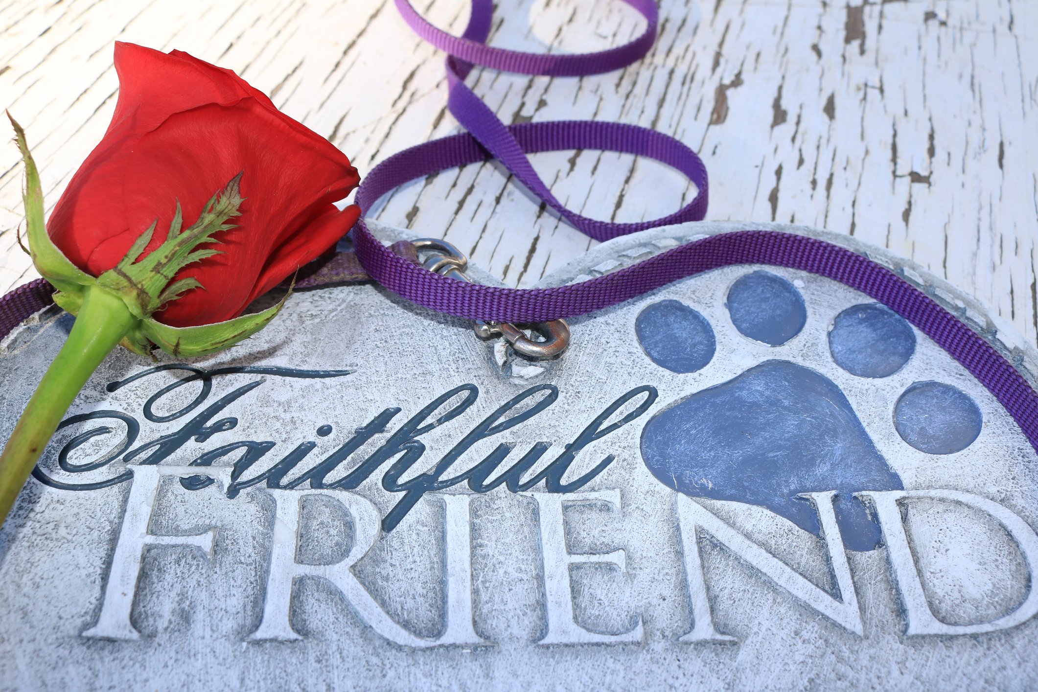 Funeral home owner charged after scamming 6,500+ pet owners with fake cremations