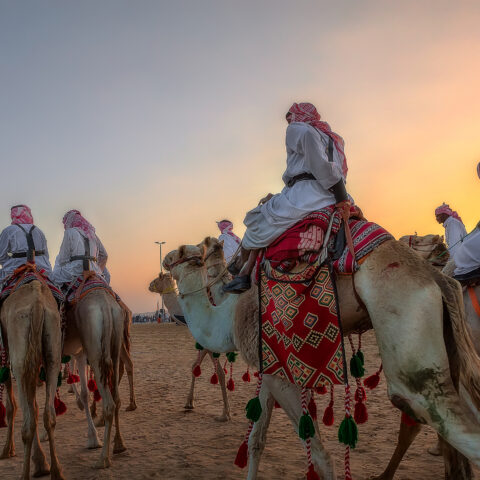 Murphy slammed for state-funded trip to middle east as new jersey's biggest forest fire ever raged - photo licensed by shore news network.