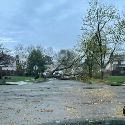 Storm slams somerdale road area, topples trees and blocks broadmoor entrance - photo licensed by shore news network.
