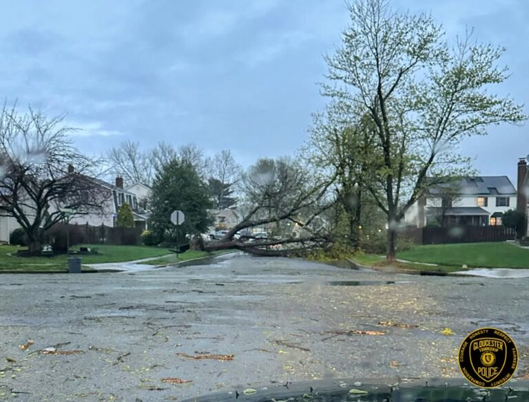 Storm slams somerdale road area, topples trees and blocks broadmoor entrance - photo licensed by shore news network.