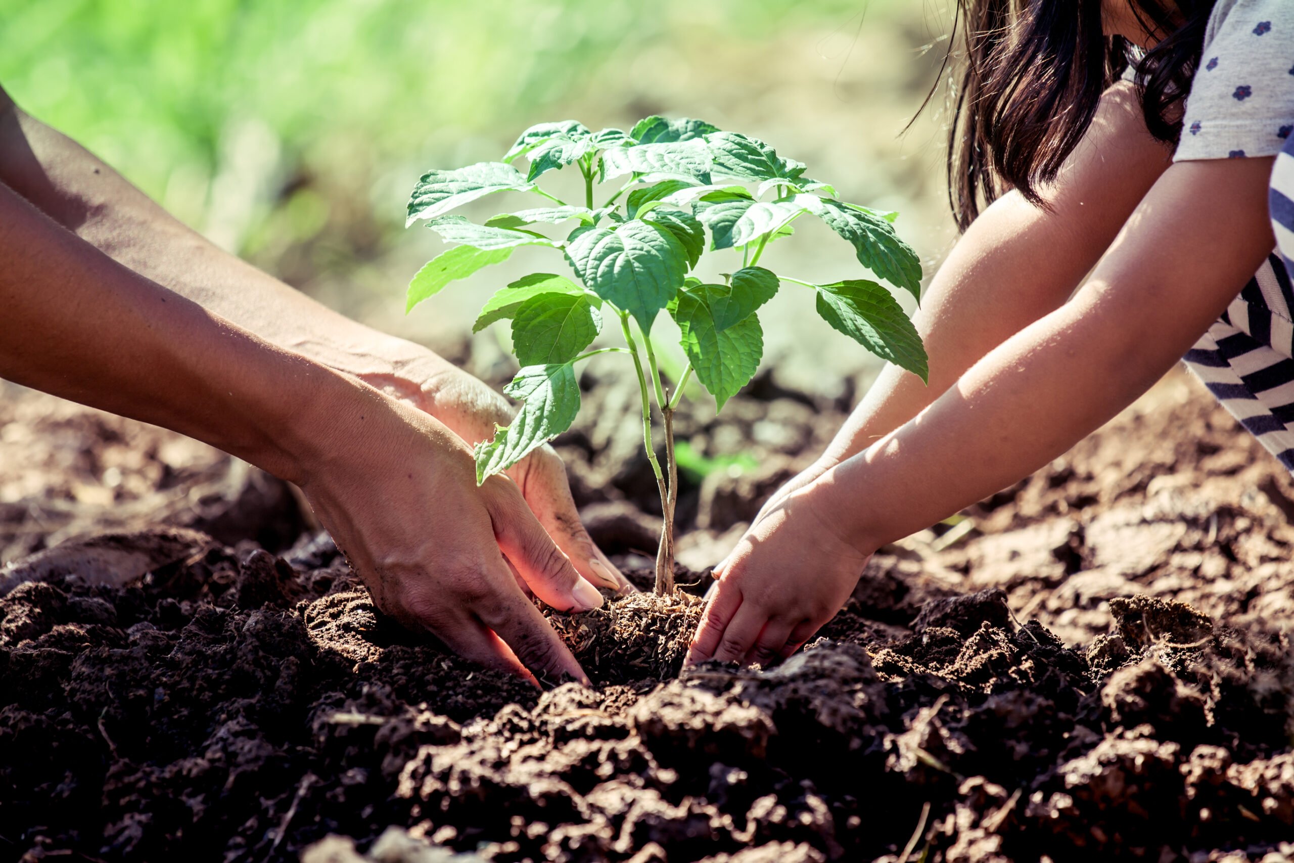 Toms River to host Earth Day tree planting event at Winding River Park