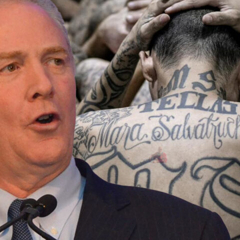 Maryland senator van hollen heading to central america to return ms-13 gang member to u. S. - photo licensed by shore news network.
