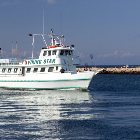 Viking fishing charter, montauk, ny