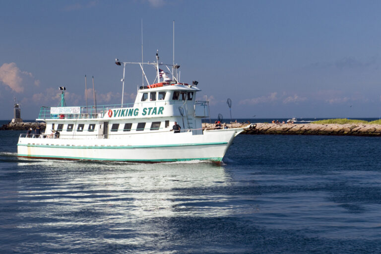 Viking fishing charter, montauk, ny