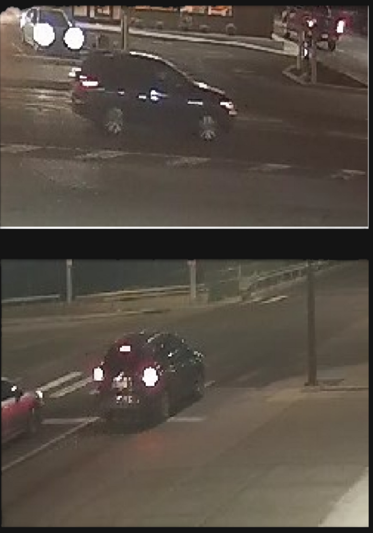 Woman killed in hit and run on Cottman Avenue