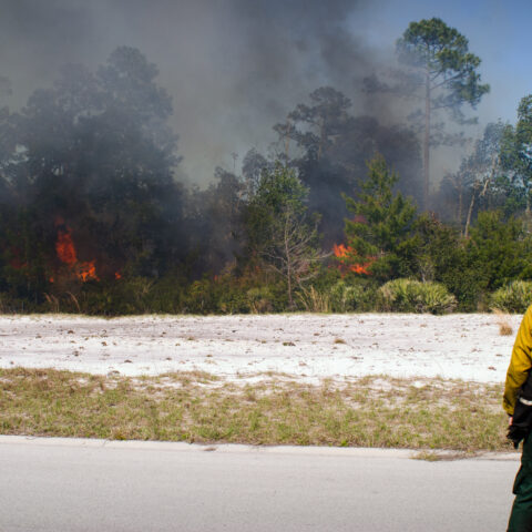 The national weather service has issued a special weather statement warning of an elevated wildfire risk across new jersey today, fueled by low humidity and gusty southwesterly winds.