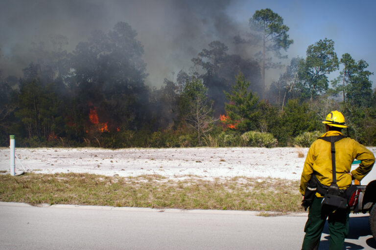 The national weather service has issued a special weather statement warning of an elevated wildfire risk across new jersey today, fueled by low humidity and gusty southwesterly winds.