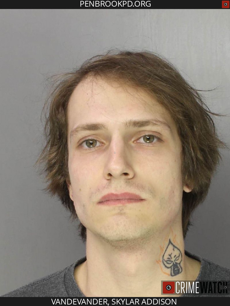 Penbrook man hit with 40 charges in rape, sexual extortion case involving multiple victims