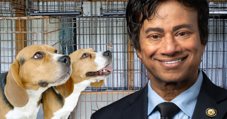 Congressman behind trump impeachment abandoned dogs at failed beagle research lab in new jersey - photo licensed by shore news network.