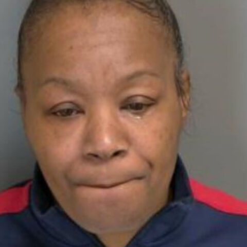 Caregiver charged with murder after pulling man off life support using fake power of attorney to steal his fortune - photo licensed by shore news network.