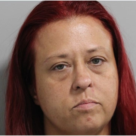 Ex-wife arrested for running over woman walking with her former husband - photo licensed by shore news network.