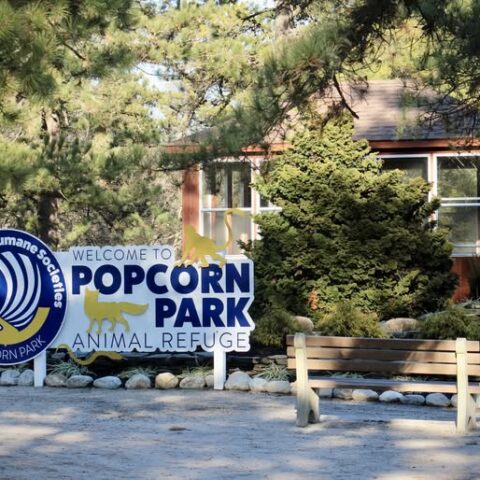 Popcorn park refuge safe as wildfire rages nearby; community support pours in - photo licensed by shore news network.