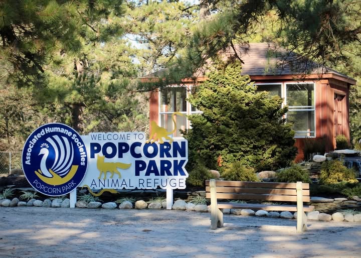 Popcorn Park Refuge safe as wildfire rages nearby; community support pours in