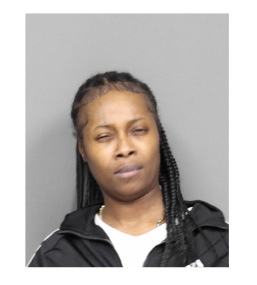 Utica woman armed with steak knife charged after threatening officers during domestic dispute