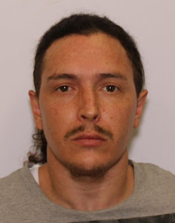Maryland man charged with killing mother in domestic attack