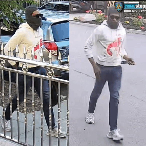 Armed carjacker steals vehicle and purse from woman in bronx parking lot - photo licensed by shore news network.