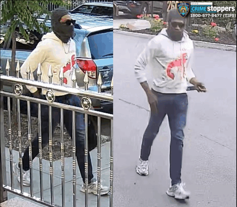 Armed carjacker steals vehicle and purse from woman in bronx parking lot - photo licensed by shore news network.