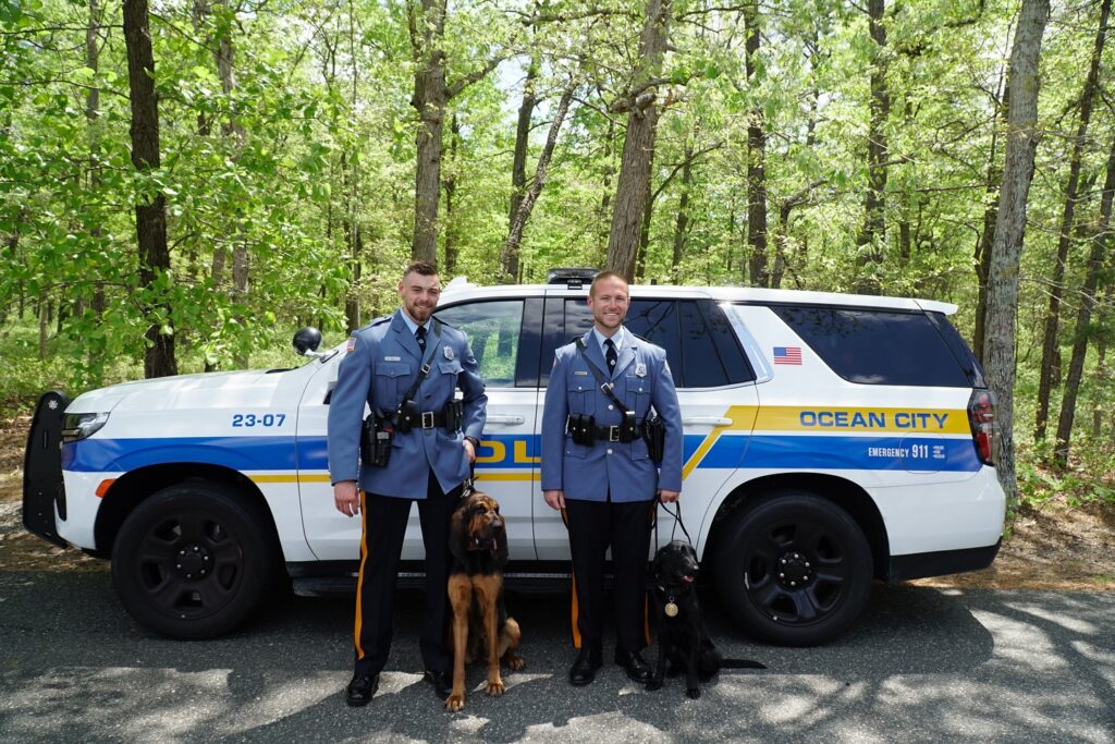 Meet Ocean City's newest cute and cuddly cops
