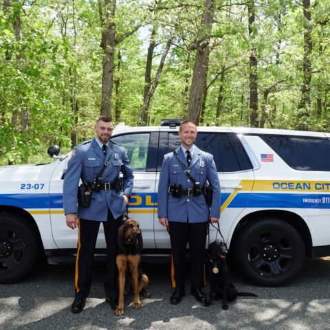 Meet ocean city's newest cute and cuddly cops - photo licensed by shore news network.