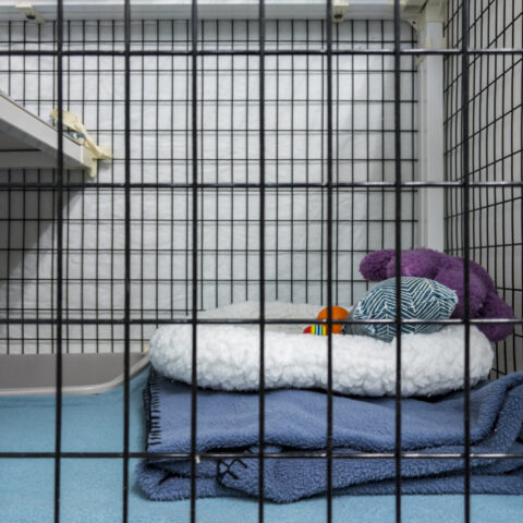 New jersey couple imprisoned teen girls for years, locked in dog crate - photo licensed by shore news network.