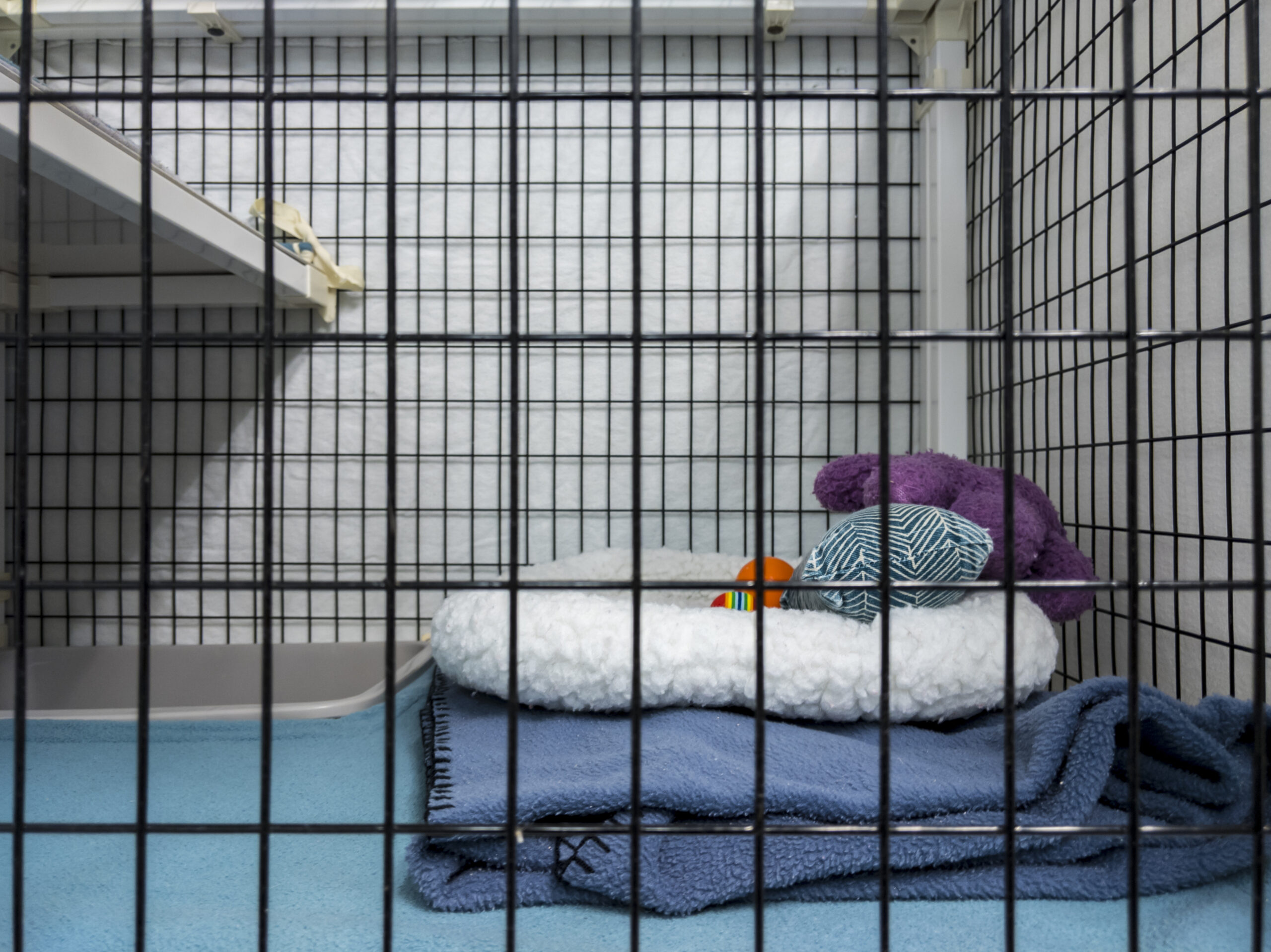 New Jersey couple imprisoned teen girls for years, locked in dog crate