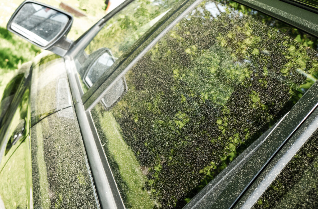 New Jersey Pollen Levels Reach Peak: How to Avoid Allergies, What to Expect, and When Relief Is Coming New Jersey Pollen Levels Reach Peak: How to Avoid Allergies, What to Expect, and When Relief Is Coming