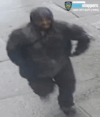 Gunman fires at woman in bronx robbery attempt, misses before fleeing