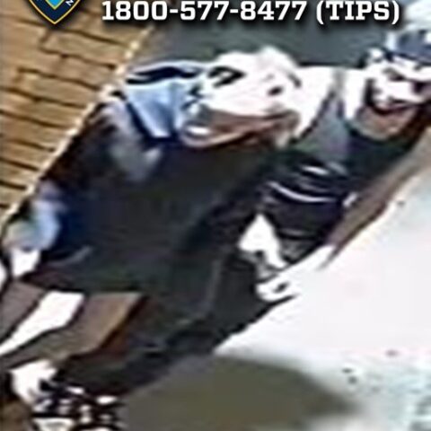 Man slashed and robbed by duo in early morning bronx street attack - photo licensed by shore news network.