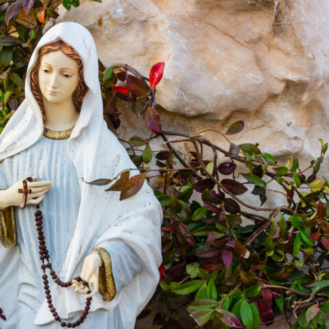 Newark police seek suspect who stole virgin mary statue from highland avenue lawn - photo licensed by shore news network.