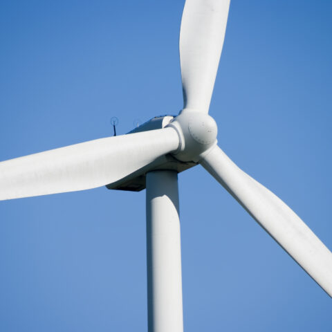 Murphy defends wind energy as trump administration blocks federal approvals - photo licensed by shore news network.