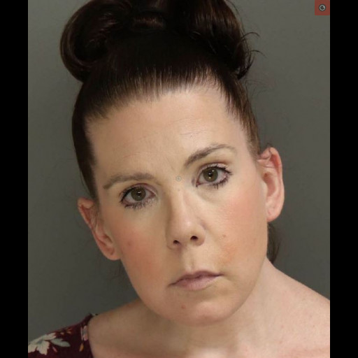 Woman jailed for driving drugged with special-needs kids in school van