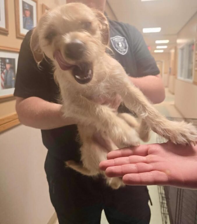 Robbinsville cops save little dog on busy highway
