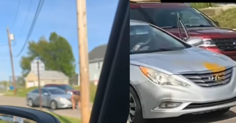 Pennsylvania woman poops on car during delco road rage incident - photo licensed by shore news network.