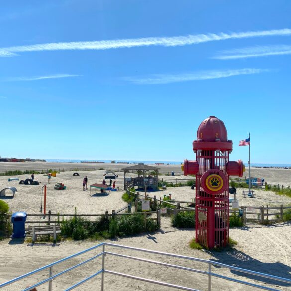 This new jersey pet friendly beach named as one of america's top destinations for dogs - photo licensed by shore news network.