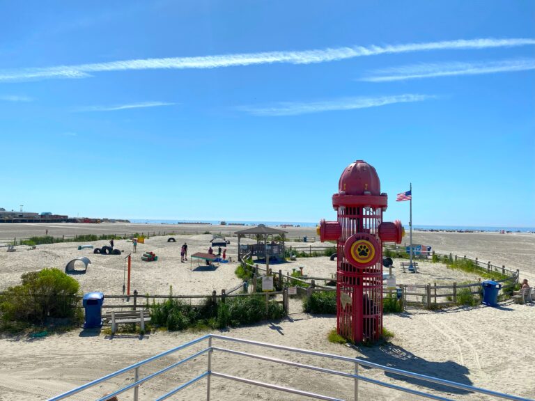 This new jersey pet friendly beach named as one of america's top destinations for dogs - photo licensed by shore news network.