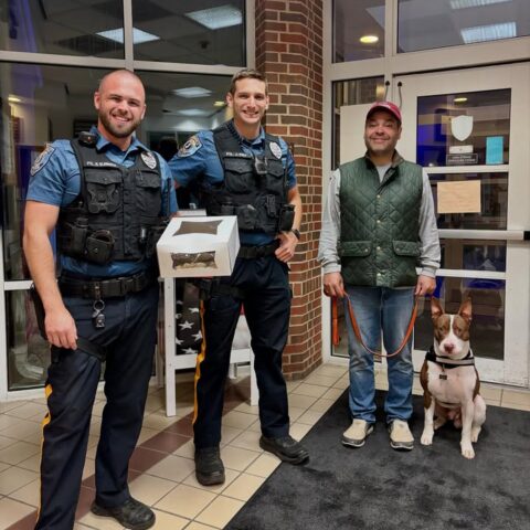 New jersey cops rescue drowning dog in backyard pool - photo licensed by shore news network.
