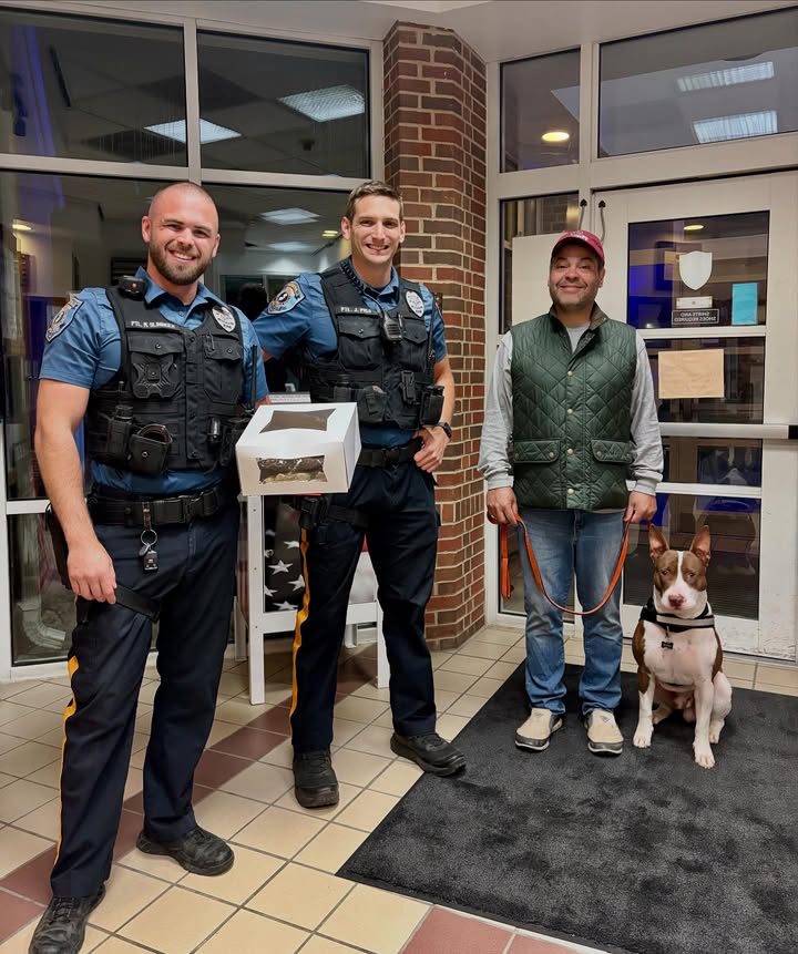 New Jersey cops rescue drowning dog in backyard pool