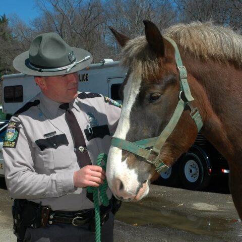 Henry the horse retires after 18 year career as neigh-borhood cop - photo licensed by shore news network.