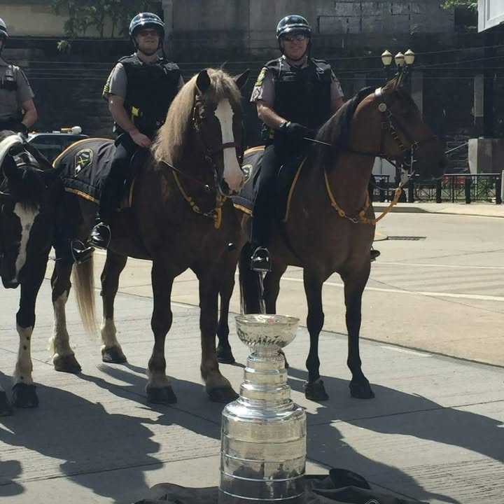 Henry the Horse retires after 18 year career as neigh-borhood cop Henry the Horse retires after 18 year career as neigh-borhood cop
