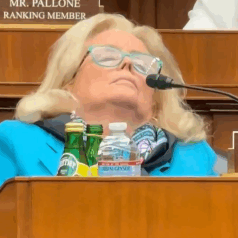 Elderly congresswoman caught sleeping said she was tired from fighting republicans - photo licensed by shore news network.