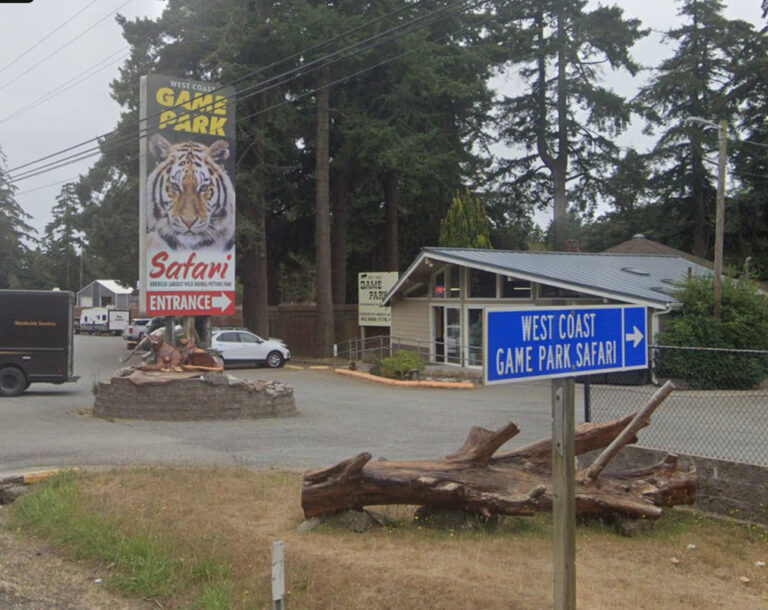 Safari park raided: cops find lions, tigers, meth, and guns - photo licensed by shore news network.
